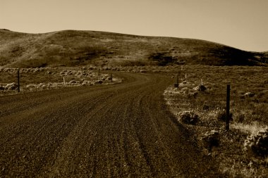 Merkezi Washington Backroads