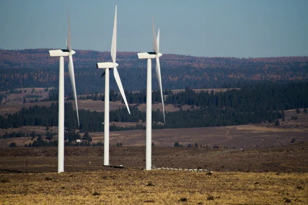 Turbinas eólicas en el estado central de Washington — Foto de Stock