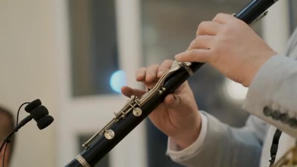Händerna på en musiker som utför ett stycke på en flöjt — Stockvideo