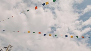 Festivalde güzel renkli güzeller var. Tatil tasarımı