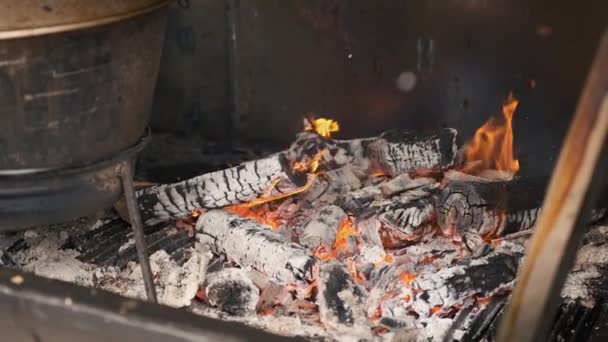 Un fuoco brucia sulla legna da ardere di mele. Prosciutto affumicato a casa — Video Stock