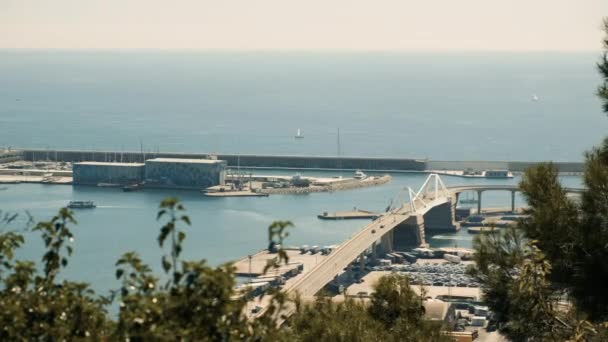 Seaport in Barcelona. Sea. City from a height. Tourism — Stock Video