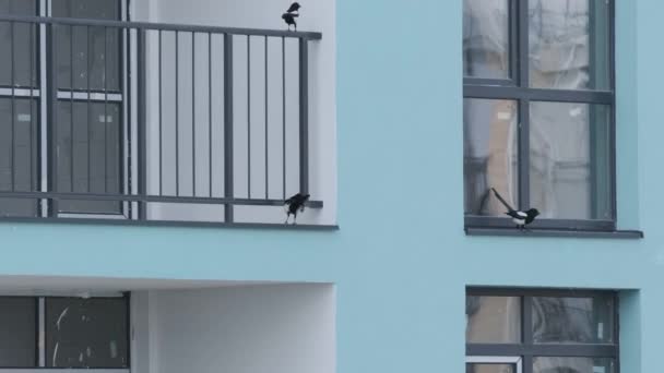 Cuarenta vidas en la ciudad en el balcón — Vídeo de stock