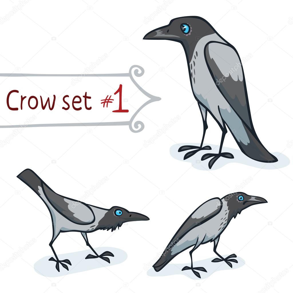 Hooded Crow Set