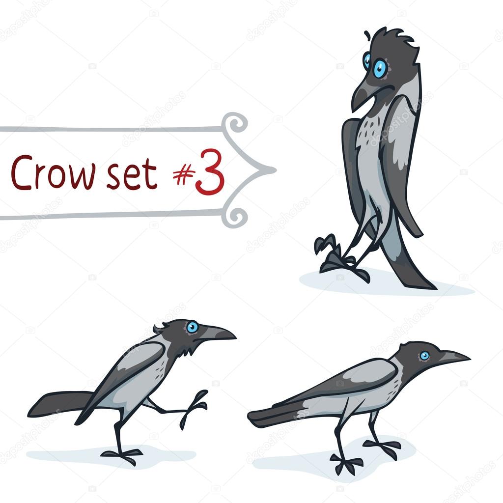 Hooded Crow Set