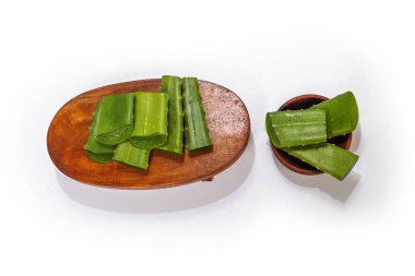 taze aloe vera yaprağı
