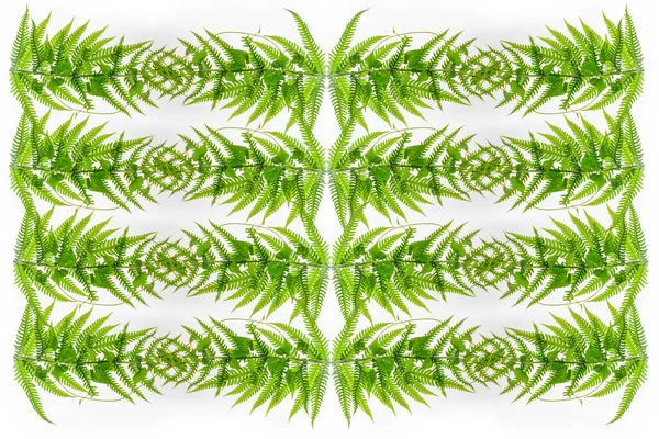 Streszczenie Tło Zielony Liść Natura — Zdjęcie stockowe