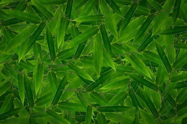 Antecedentes Estructura Células Hoja Verde Macro Shot Textura Natural — Foto de Stock
