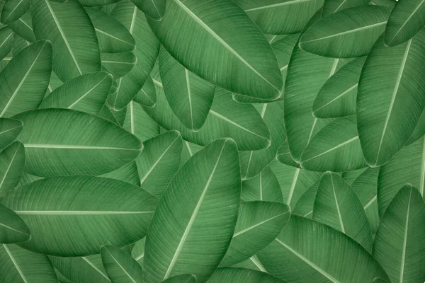 Yeşil Yaprakların Kusursuz Deseni Suluboya Tarzında Yeşil Tropikal Bir Arka — Stok fotoğraf
