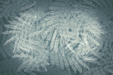 Yeşil tropikal yapraklar arka plan reklam afişi ile kopyalama alanı.