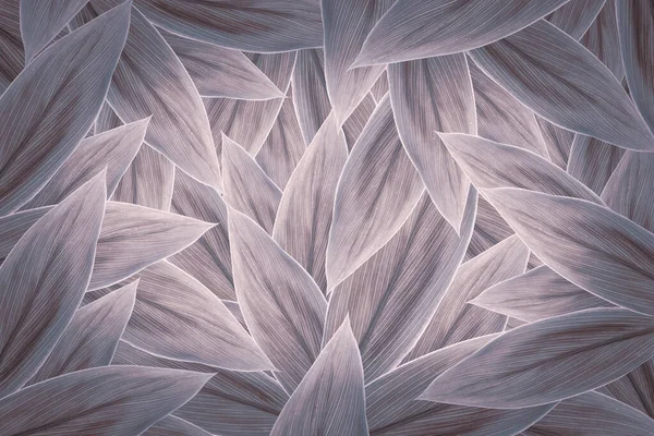 Yeşil tropikal yapraklar arka plan reklam afişi ile kopyalama alanı.