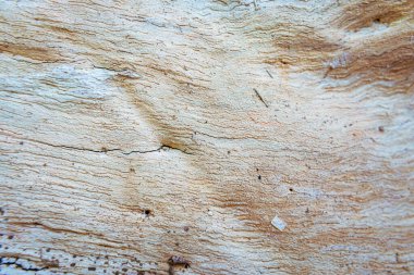 eski tahta duvar arkaplanı