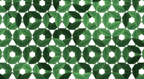 Modèle Floral Vert Sans Couture Fichier Comprend Motif Swatch — Photo