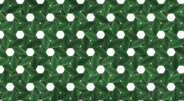 Modèle Floral Vert Sans Couture Fichier Comprend Motif Swatch — Photo