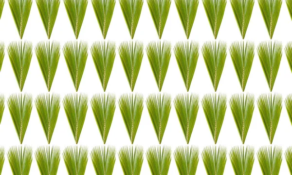 Palm Tropical Leaves Seamless Pattern — Stock Photo, Image