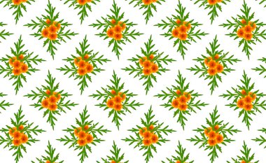 Kusursuz Çiçeksiz Kozmos Çiçek desenli