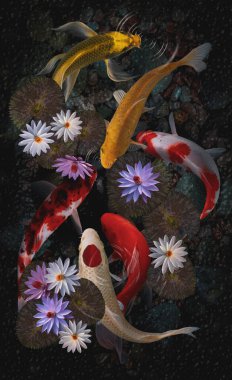 Koi balığı ve nilüfer çiçeği ve yaprakları.