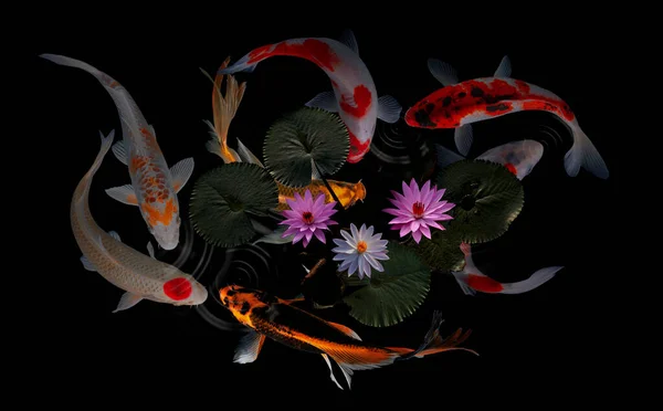 Koi balığı ve nilüfer çiçeği ve yaprakları.