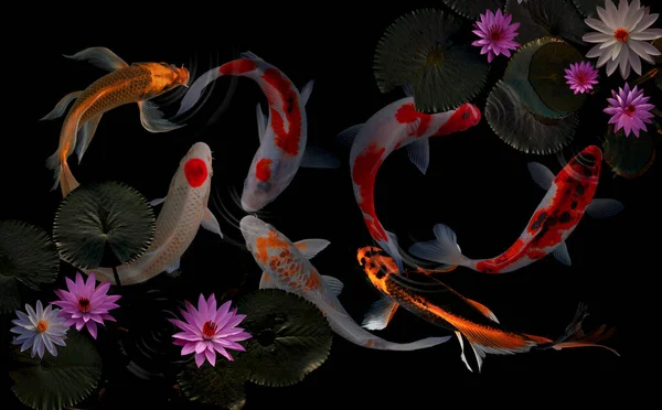 Ryba Koi Kwiaty Lotosu Liście — Zdjęcie stockowe