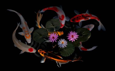 Göldeki koi balığı.