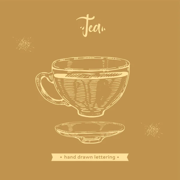 Tasse de thé lettrage dessiné à la main avec la soucoupe. — Image vectorielle