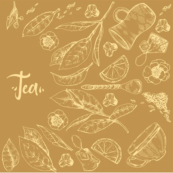 Detaillierte handgezeichnete Skizze Teepflanze und Kochwerkzeuge. — Stockvektor