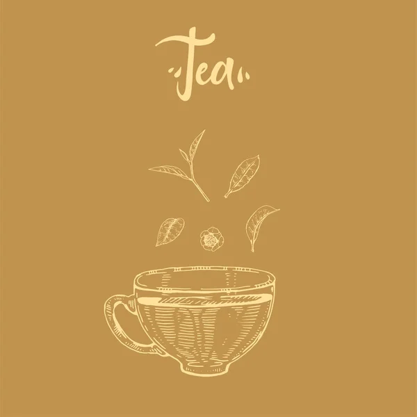 Taza de té de letras dibujada a mano con el platillo. — Archivo Imágenes Vectoriales