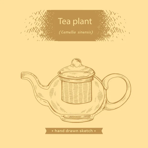 Мальований вручну ескізний чайник з Camellia sinensis . — стоковий вектор