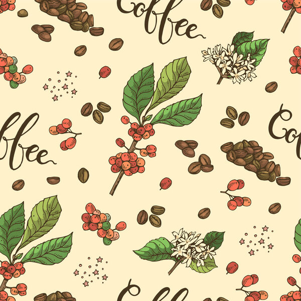 Бесшовный узор с ветвями кофейных деревьев, цветами и надписями. Детальный ручной рисунок, векторная ботаническая иллюстрация.