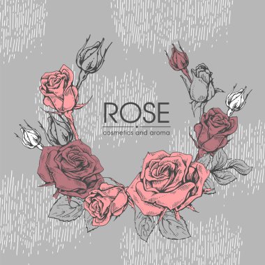 Roses 'la çerçeve. Detaylı el çizimleri, vektör botanik çizimler