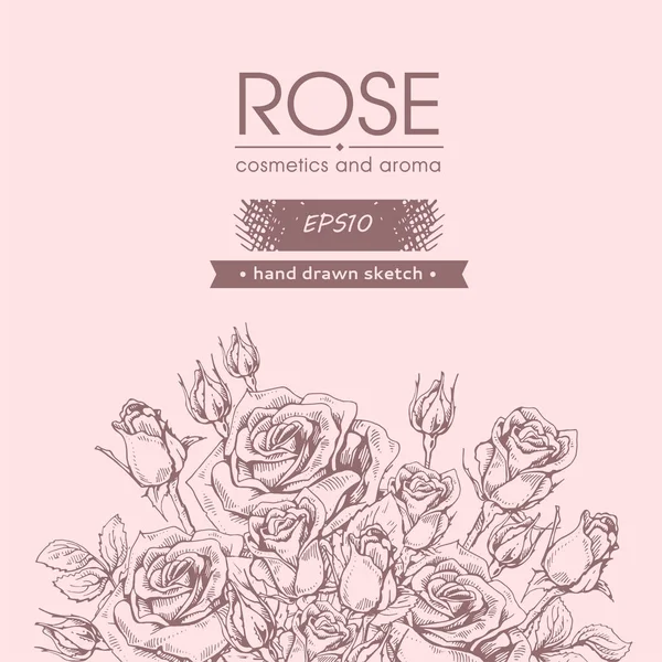 Sfondo Con Rose Schizzi Dettagliati Disegnati Mano Illustrazione Botanica Vettoriale — Vettoriale Stock