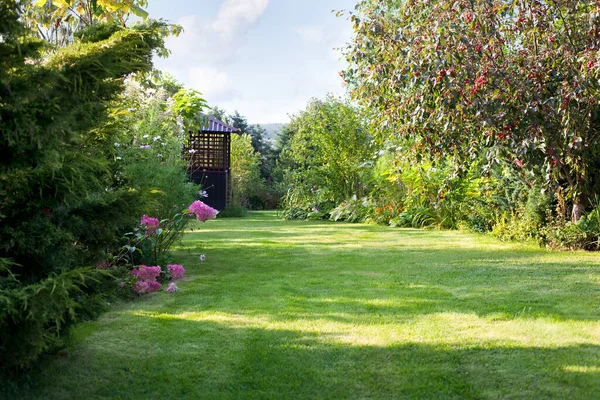 Summer House Beautiful Backyard Green Garden Landscape Fresh Green Lawn — Stock Photo, Image