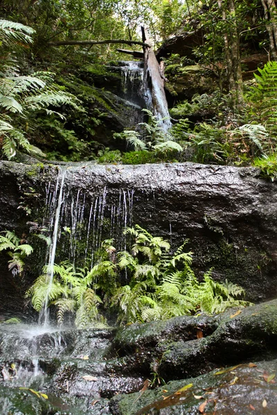 Kaskády vodopádu, modré hory, sydney, Austrálie — Stock fotografie