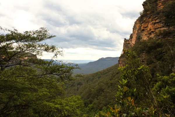 Nationaalpark Blue mountain — Stockfoto