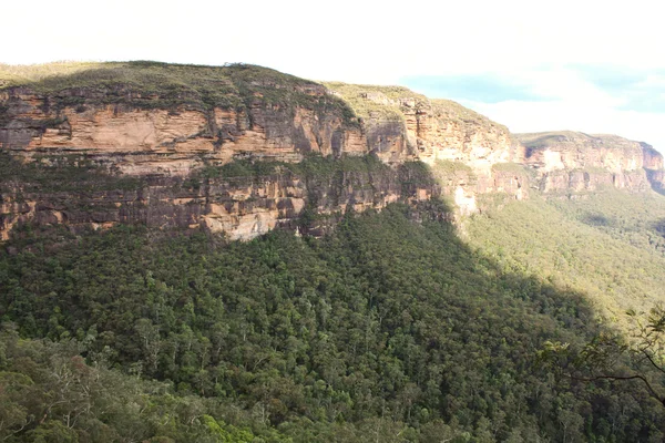 Blue Mountain National Park — Stock Photo, Image