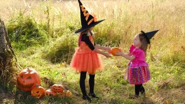 Las Niñas Vestidas Brujas Juegan Con Una Calabaza Tronco Árbol — Vídeos de Stock