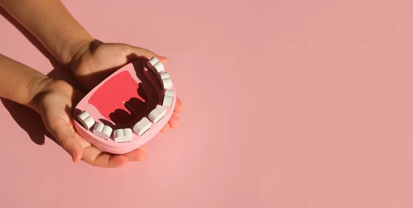 Modelo Maxilar Brinquedo Nas Mãos Uma Criança Fundo Rosa Com — Fotografia de Stock