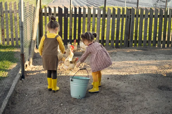 Dua Gadis Membantu Orang Tua Mereka Dengan Bertani Peternakan Memberi — Stok Foto