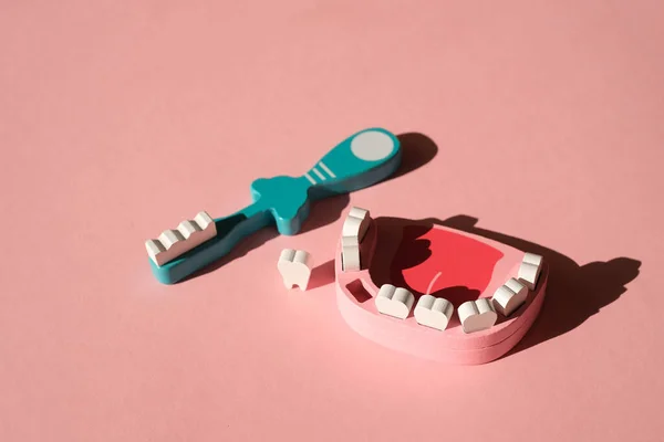 Toothbrush Wooden Toy Model Jaw One Lost Tooth Dental Hygiene — Stock Photo, Image