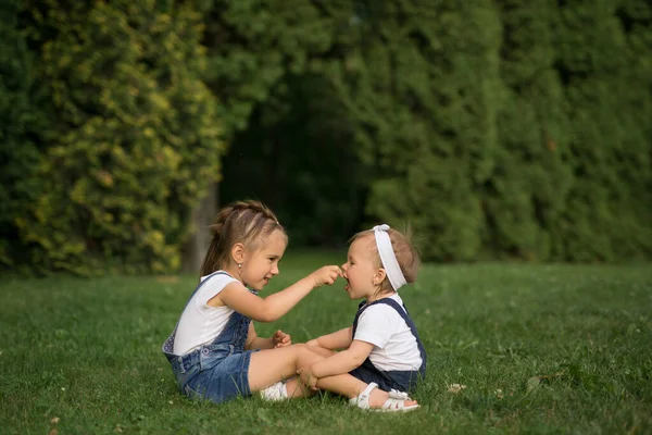 Komik Kız Çimenlikteki Parkta Oynuyorlar Birbirlerini Çimen Yapraklarıyla Besliyorlar Kız — Stok fotoğraf