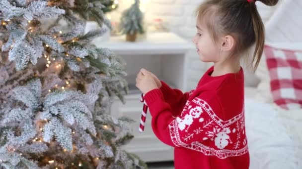Dziewczyna Czerwonym Swetrze Xmas Ozdobą Wisi Zabawki Kształcie Trzciny Cukrowej — Wideo stockowe