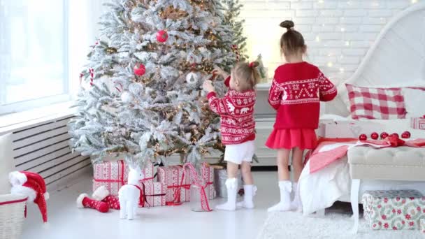 Anak Anak Senang Bahwa Sudah Waktunya Untuk Menghias Pohon Natal — Stok Video