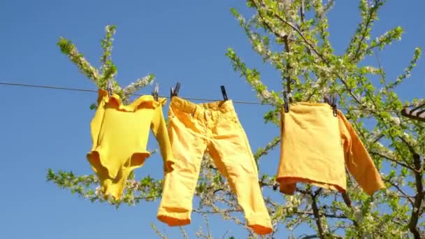 Ropa Amarilla Para Bebés Cuelga Seca Desarrolla Viento Tendedero Después — Vídeos de Stock