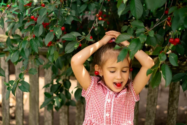 Menina Está Sentada Debaixo Uma Cerejeira Segurando Uma Baga Vermelha — Fotografia de Stock