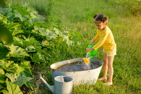 Una Niña Lleva Agua Una Regadera Juguete Para Regar Calabacines — Foto de Stock