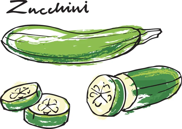 Frische Zucchini-Zucchini ganz & in Scheiben geschnitten — Stockvektor