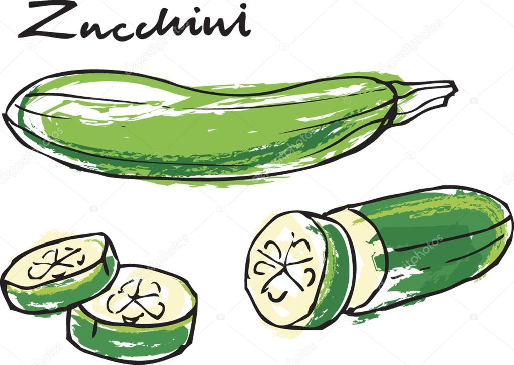 Fresh zucchini courgette whole & sliced