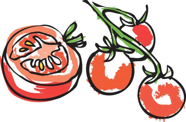 Cut tomato with tomatoes on the vine — Stock Vector