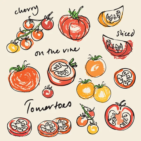 Varios tomates — Vector de stock