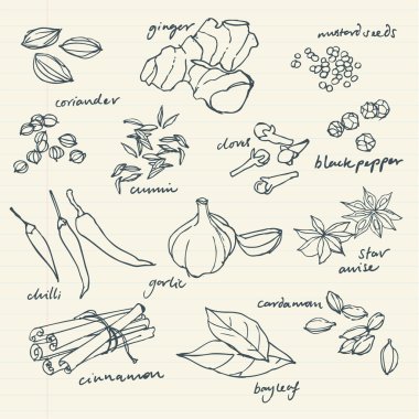 baharat doodles